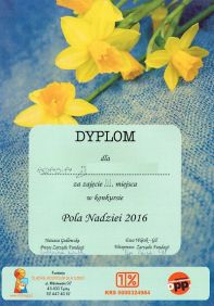 dyplom_37.jpg