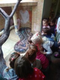 egzotarium03.jpg