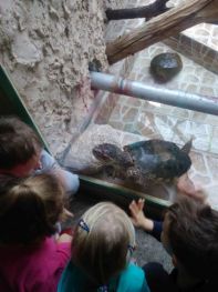 egzotarium04.jpg