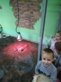 egzotarium05.jpg