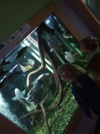 egzotarium06.jpg