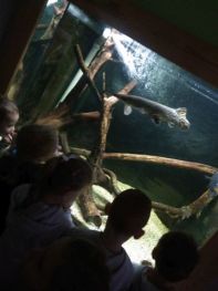 egzotarium07.jpg