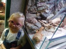 egzotarium09.jpg
