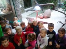 egzotarium10.jpg
